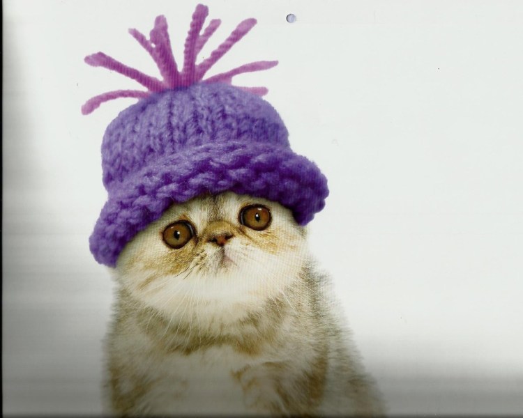 Шапка 'кошка'