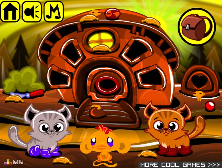 Котенок в шапке лягушки