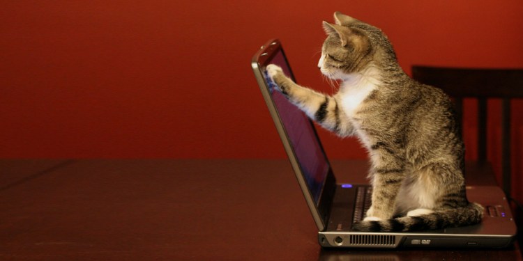 Смешное за компом