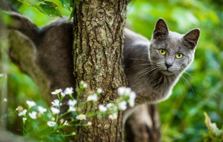 Артем Бурма