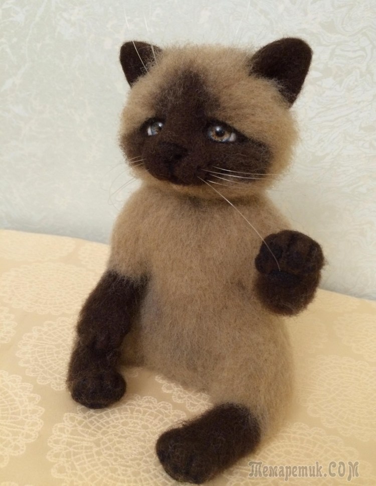 Сиамская кошка Баффи