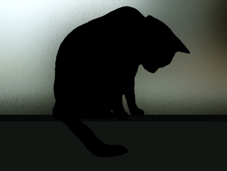 Милый котик с щечками