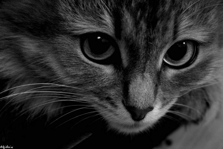 Грустный арт