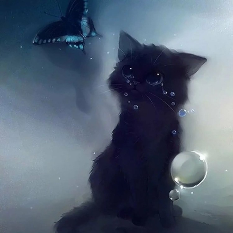 Самая милая кошка в мире