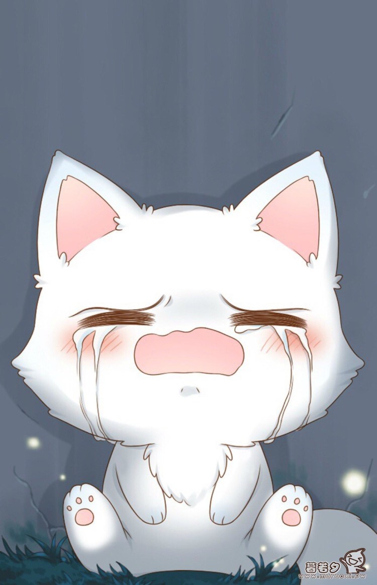 Расстроенный котик