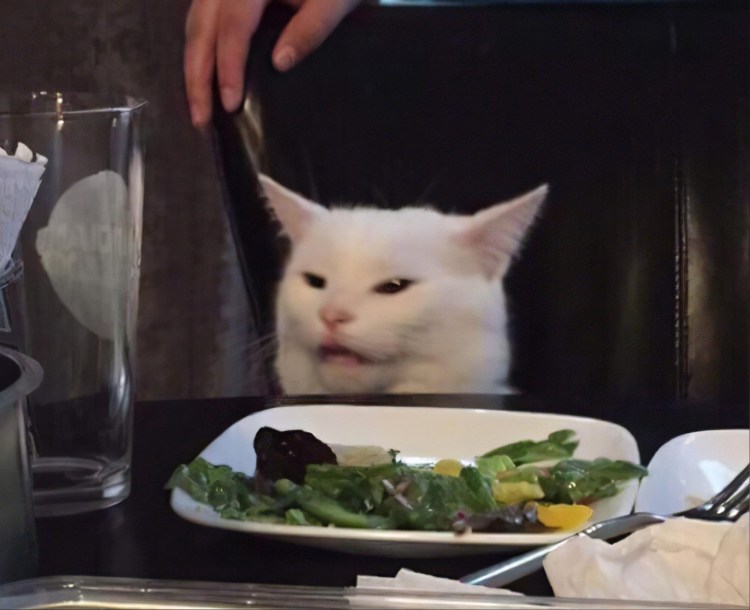 Мем с котом и девушками