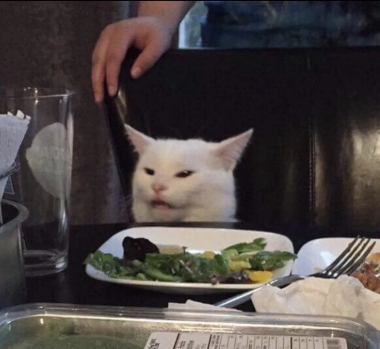 Мем с котом за столом