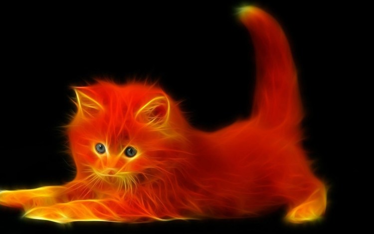 Красивая Огненная кошка