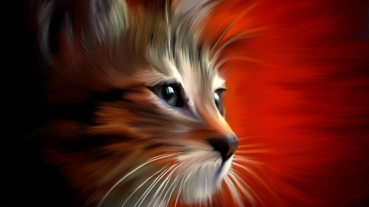 Кот выглядывает арт