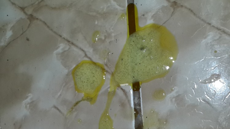 Кошку тошнит