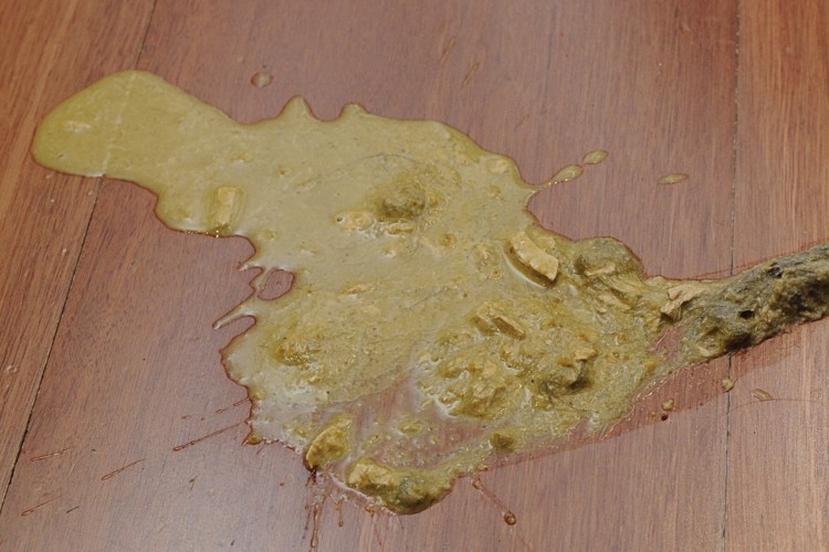 Кошачья блевотина с шерстью