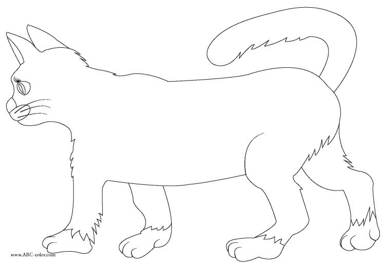 Кошка в профиль