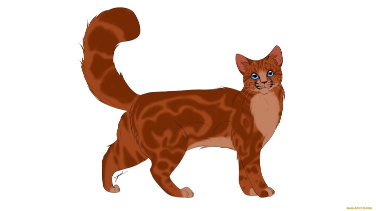 Европейская Дикая Лесная кошка