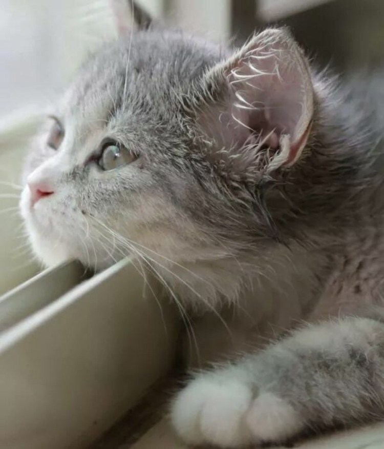 Черно белое настроение