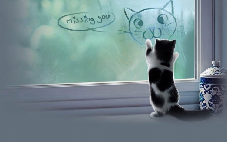 Рыжий кот на окне