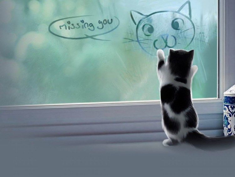 Котенок скучает