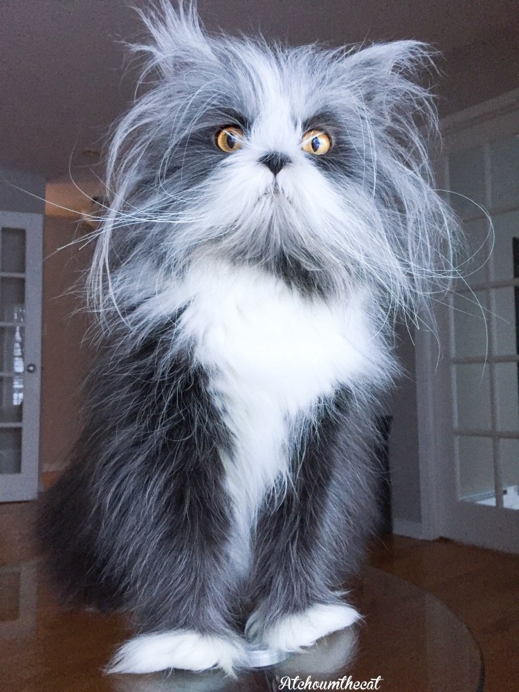 Атчум (Чихун)