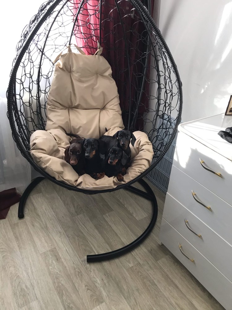 Кресло Kokon качалка