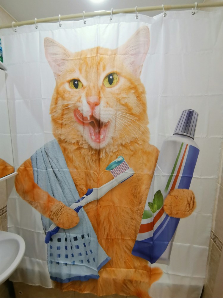 Зубная щетка для кошек