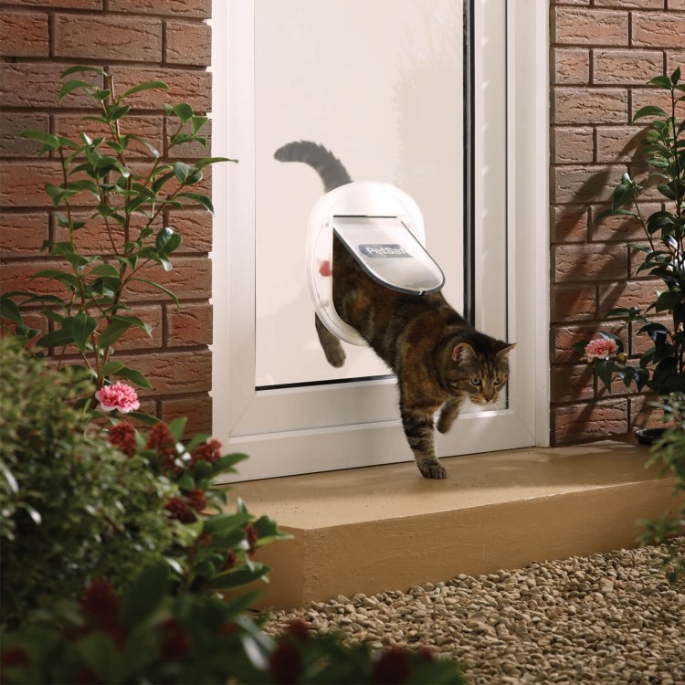 Дверь для кота