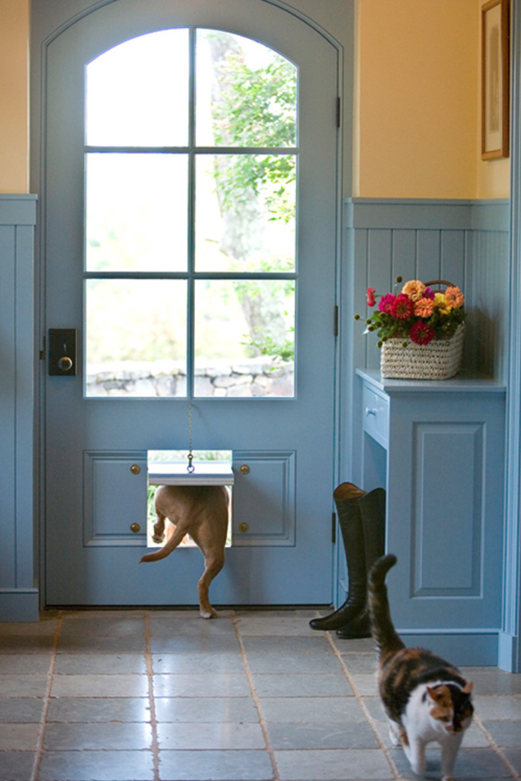 Дырка в двери для собаки