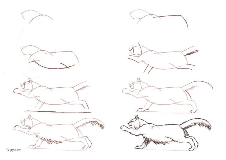 Кошка пошаговое рисование для взрослых