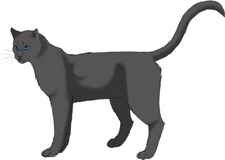 Сероус коты Воители