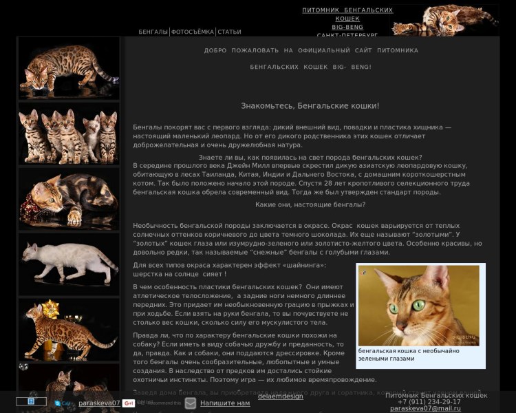 Расцветки бенгалов таблица