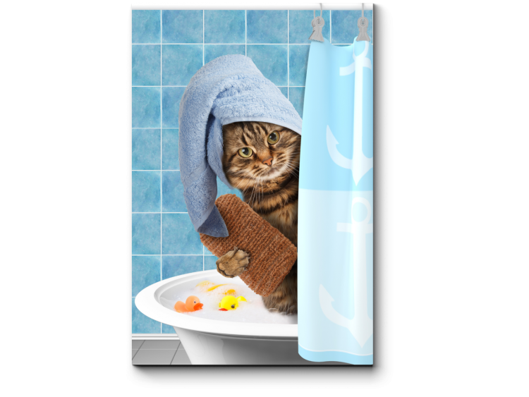 Кот в ванне с коктейлем