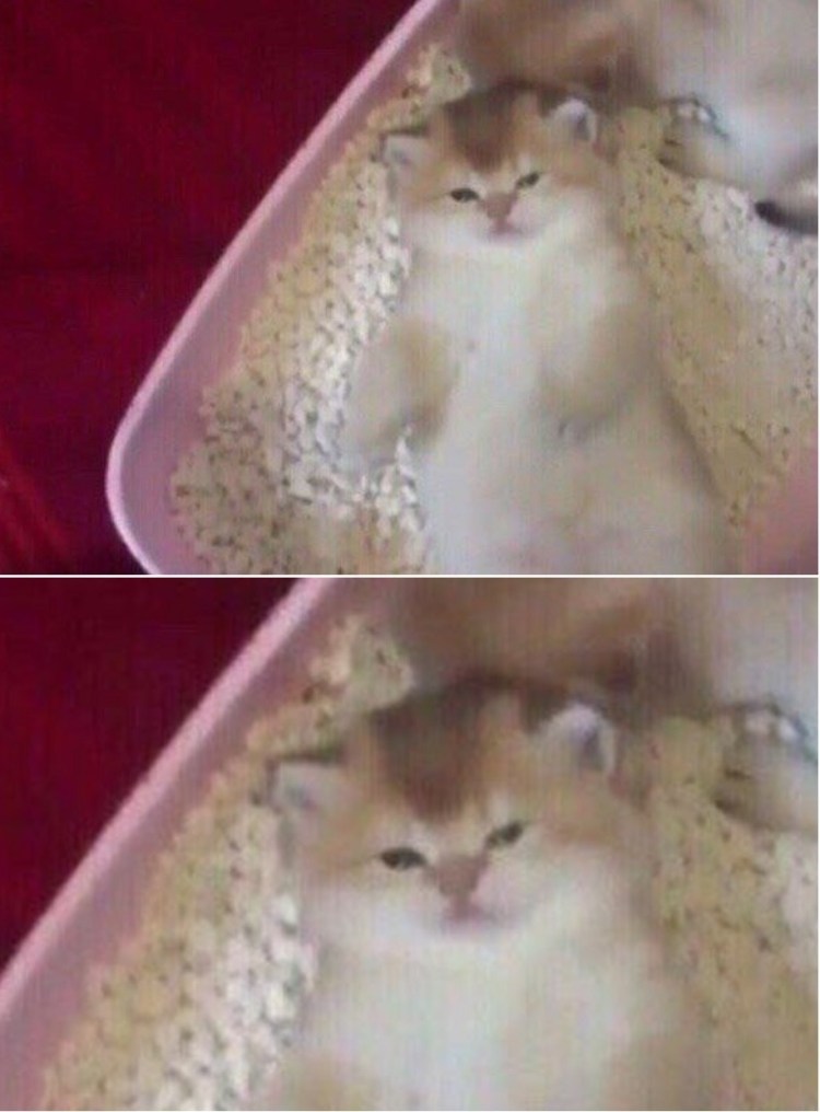 Джоне одумайся Мем