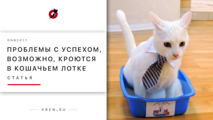 Юмор в картинках кошки