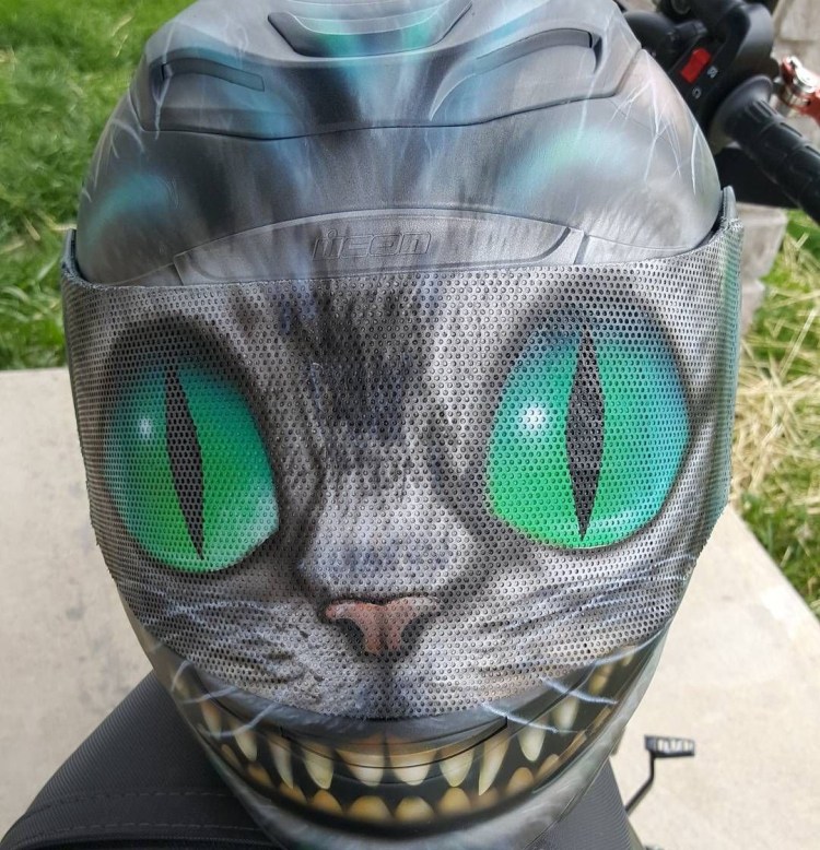 Кот в мотошлеме