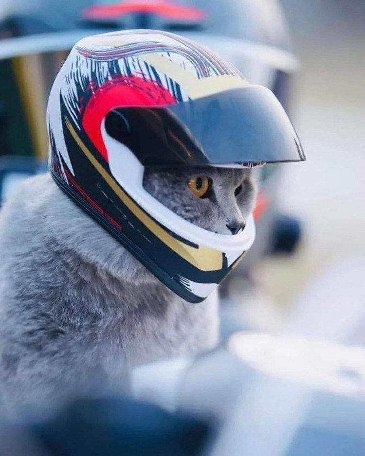 Шлем Nitrinos Neko