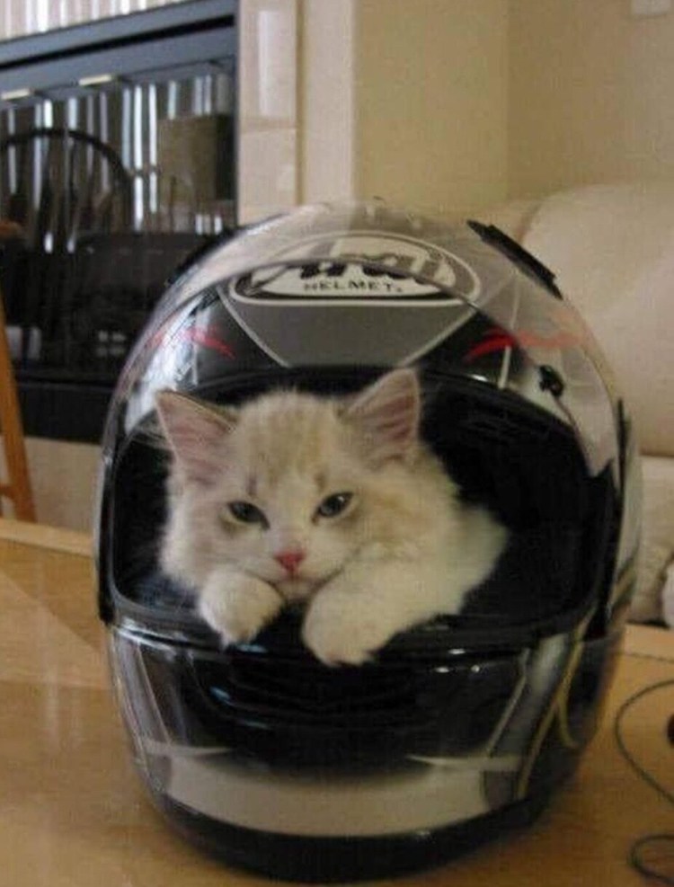 Мотоциклетный шлем с ушками кошки