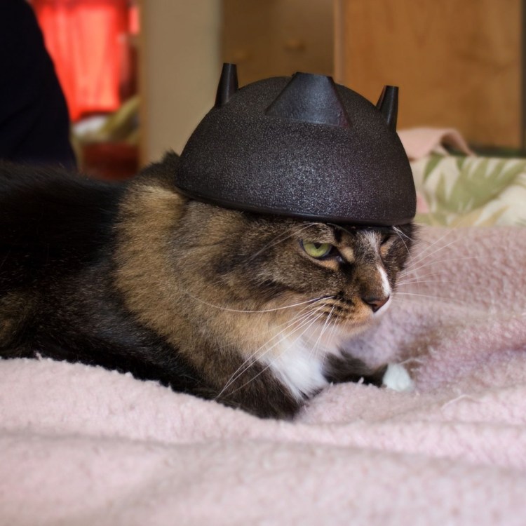 Нашлемник леопард