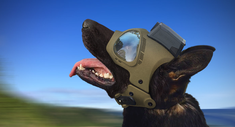 Шлем с ушками