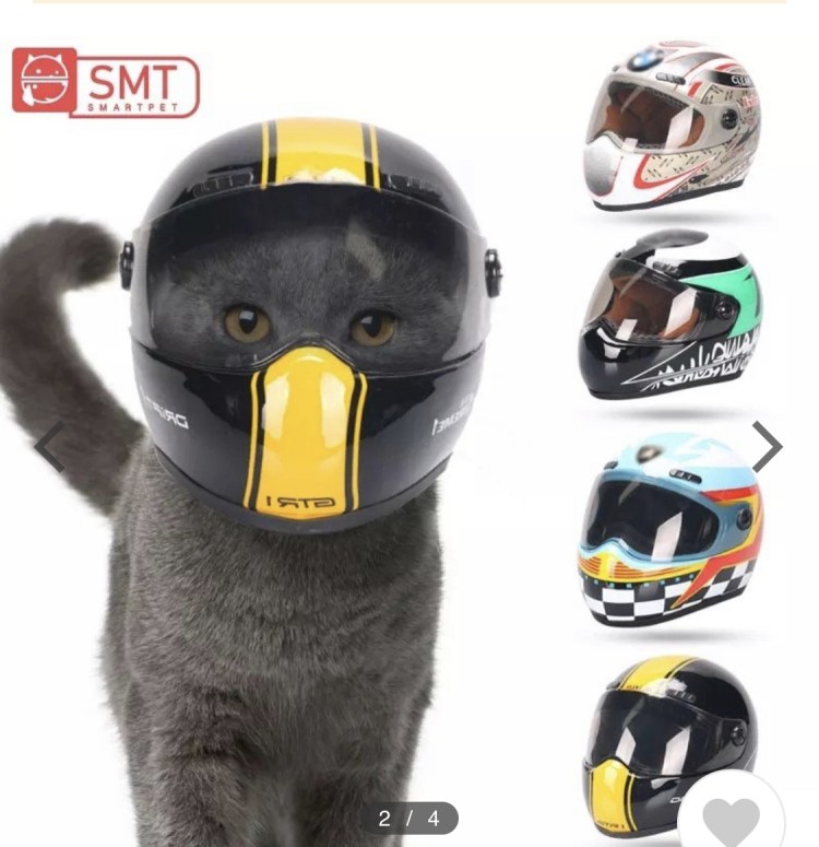 Кот в мотоциклетном шлеме