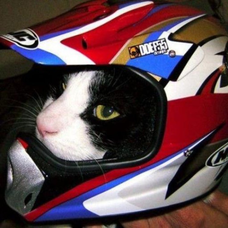 Мотошлем Nitrinos