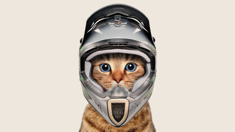 Нитринос неко