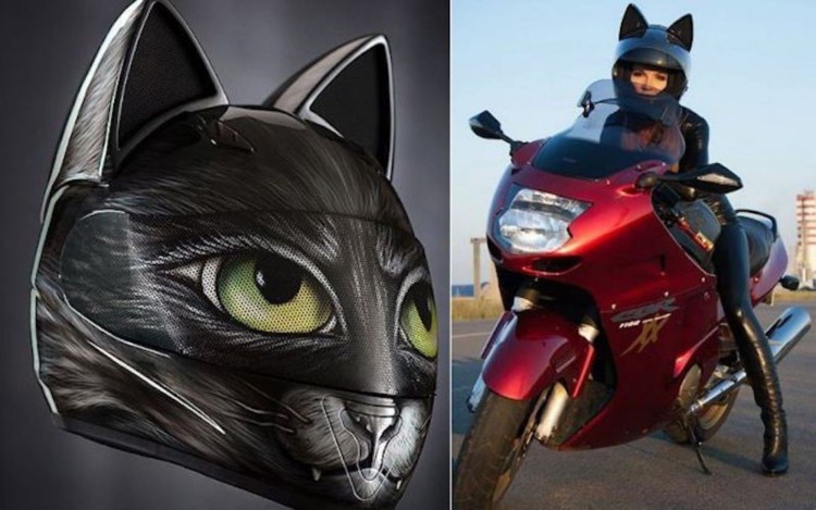 Мотоциклетный шлем для собак