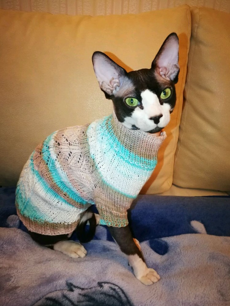 Вязаные вещи для кошек