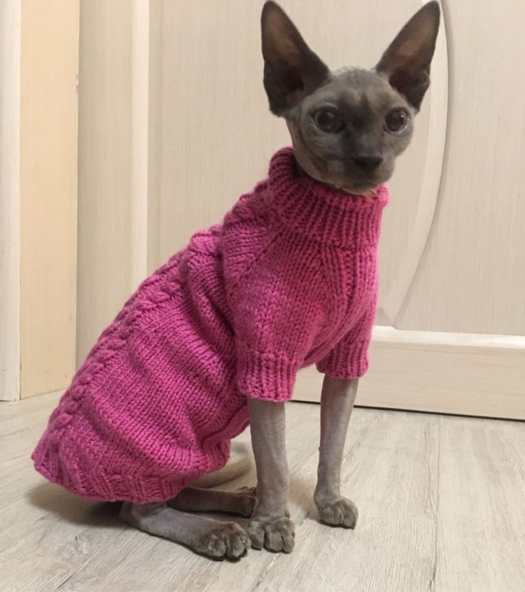 Вязаная одежда для сфинксов