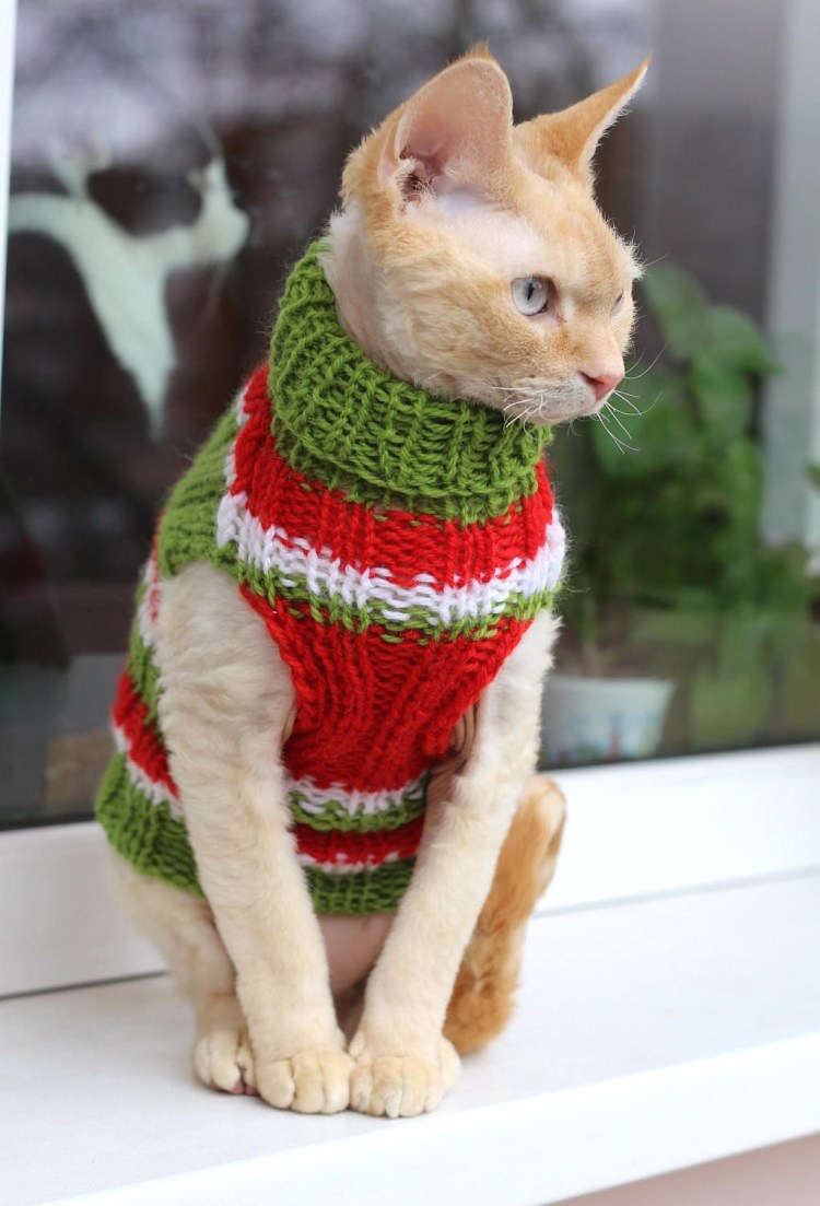 Свитерки для кошек