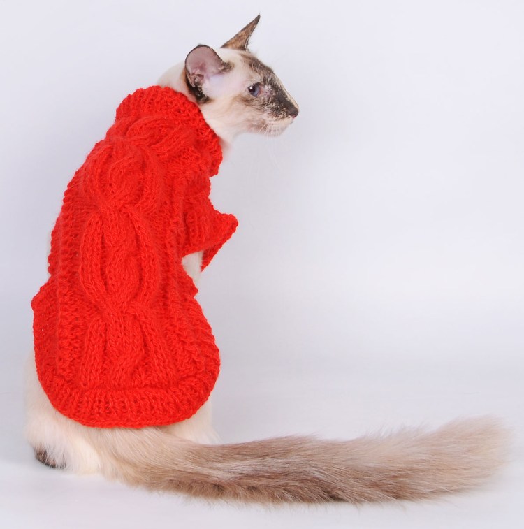 Вязаная одежда для кошек
