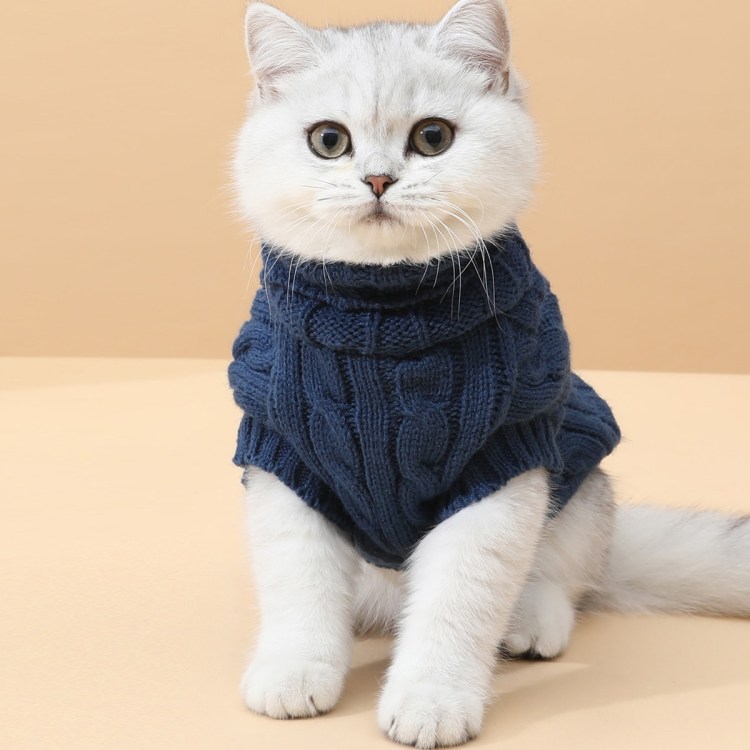 Вязаная одежда для сфинкса