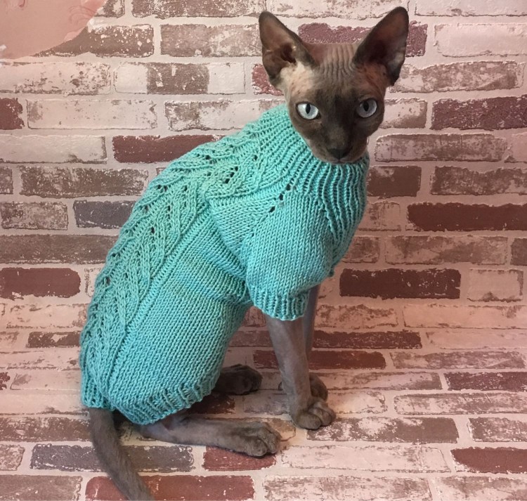 Вязаная одежда для кошек сфинксов