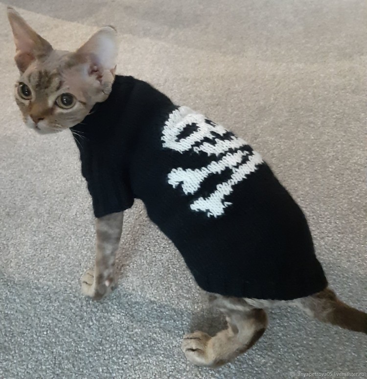 Кофточки для кошек