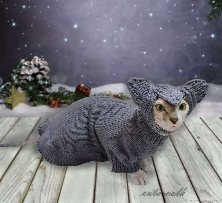 Вязаная одежда для кошек