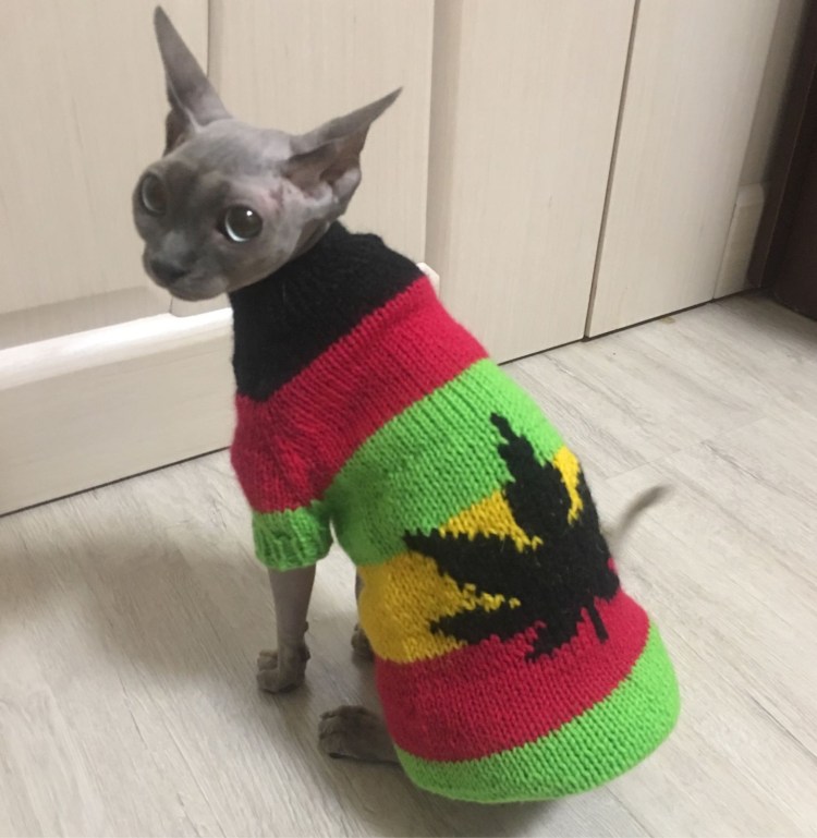 Новогодняя кофта для котов