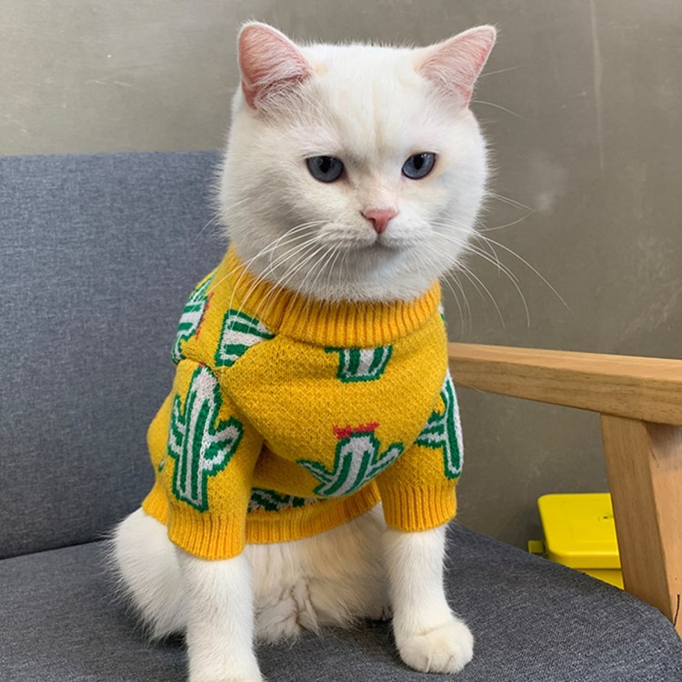 Сфинкс в свитере